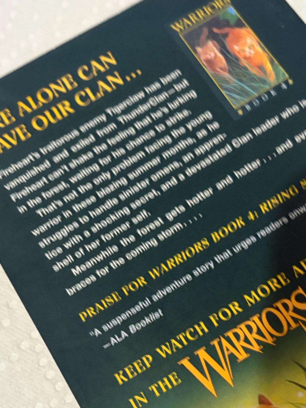 Rising Storm (Warriors, Book 4) - Paperback By Hunter, Erin - - Picture 3 of 4